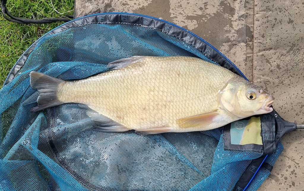 Paul Smith | Badgers Wood | 3lbs 3oz | 6mm chocolate/orange wafters on the method feeder | 25th April 2023