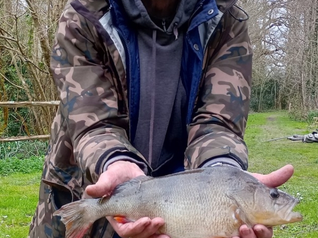 Jim Wells | Decoy lake | 3lbs 2oz | lobworm | April 2nd 2024