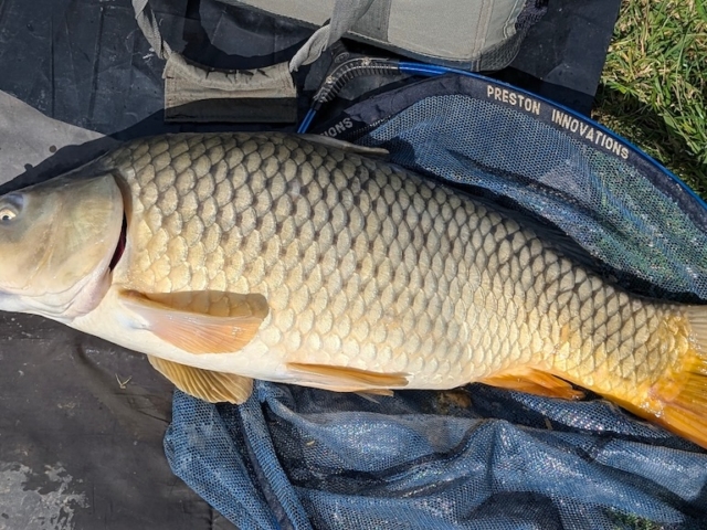 Rusty Bullithole | Oldmans | 16lb 1oz | 14th April 2026
