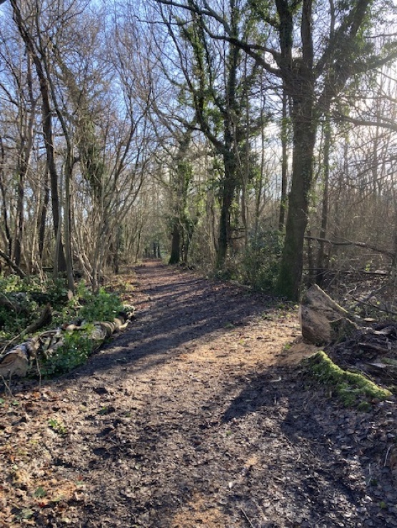 The cleared track at Decoy lake